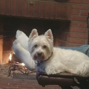 Meet your Posher, Laurie